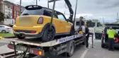 Trabzon'da abart egzoz avı