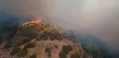 Son dakika haberi! Yarış dronu ile orman yangınları görüntülendi