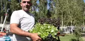 İki bin rakımlı Daphan Ovası'ndaki seralarda sebze ve meyve hasadına başlandı