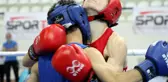 Türkiye Boks Federasyonu Başkanı Gözgeç: 