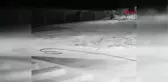 BAHÇEDE FASULYELERE DADANAN AYI KAMERADA