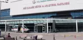 İki orman işçisi kestikleri ağaç dallarının üzerlerine düşmesi sonucu yaralandı