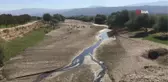 Kuruyan Büyük Menderes koyunlara otlak oldu