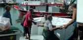 Karadeniz'de palamut ve hamsi bolluğu