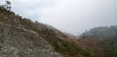 Son dakika... Marmaris'te yıldırım düşmesi sonucu orman yangını çıktı