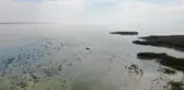 Son dakika... Uluabat Gölü can çekişiyor