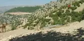 Fotokopana takılan belgesellik görüntüler