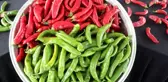 Samandağ biberine coğrafi işaret belgesi