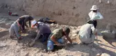 Suriye sınırındaki Oylum Höyük yönetim merkeziymiş