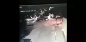Son dakika: Bursa'da vicdansızlık kamerada... Kamyonetiyle ezdiği köpeği bırakıp kaçtı