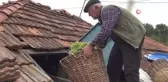 Son dakika: İmece usulü geleneksel pekmez yapımı devam ediyor