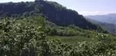 ORDU'DA TAŞ OCAĞI İÇİN 'ÇED GEREKLİ DEĞİL' KARARINA DURDURMA