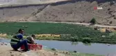 Siirt'te kene avcısı bin 60 sülün doğaya salındı