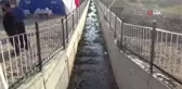 Son dakika haber... Tarım ve Orman Bakan Yardımcısı Fatih Metin: 