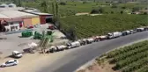TMO'dan kuru üzüm üreticisine 15 milyon liralık ödeme