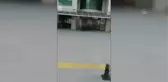 Manavgat'ta ormanı yakarken suçüstü yakalanan zanlı tutuklandı