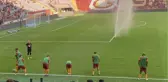 Taraftarın 