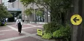 VANCOUVER - Kanada'da erken seçim