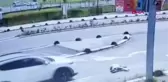 Son dakika haberleri... MALTEPE'DE KÖPEĞİ EZEREK ÖLDÜREN DOÇ. DR. OCAKLI BERAAT ETTİ