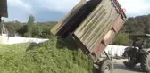 Pandemideki yem açığına karşı silaj paketleme tesisi kurdu