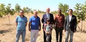 Tuşba Belediyesi'nin öncülük ettiği 'Model ceviz-badem' bahçelerinde ürün alınmaya başlandı