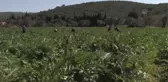 Urla'daki kadın kooperatifi ilk ihracatını yaptı