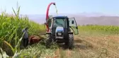 Devlet destekli yetiştirilen silajlık mısırın hasadına başlandı