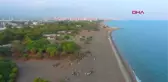 ERDEMLİ'DE KUM ZAMBAKLARI KORUMA ALTINDA