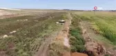Şanlıurfa'da şarkılı türkülü pamuk hasadı