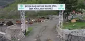 Hayvan oteli gurbetçilerin imdadına yetişiyor