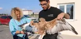 KULAKLI ORMAN BAYKUŞLARI VE KIZIL ŞAHİN, TEDAVİ SONRASI DOĞAYA BIRAKILDI