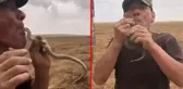 Arkadaşlarını etkilemek için ağzına yılan sokan adam feci şekilde hayatını kaybetti