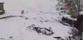 ERZİNCAN VE ARDAHAN'DA KAR YAĞIŞI ETKİLİ OLDU