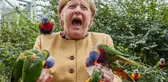 16 yıllık görevini bırakmaya hazırlanıyor! Merkel'in veda turuna zor anları damga vurdu