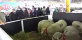 Hayvancılık festivalinde Türk Merinos koyununa yoğun ilgi