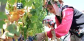 Kırklareli'nde 