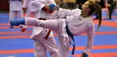Türkiye Büyükler ve Veteranlar Karate Şampiyonası sona erdi