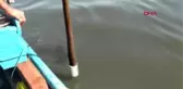 Son dakika: AK PARTİLİ SÜREKLİ: 