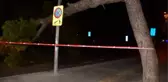 İZMİR'DE ÇAM AĞACI YOLA DEVRİLDİ, ŞANS ESERİ YARALANAN OLMADI