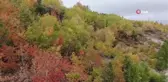 Kop Dağında renk cümbüşü