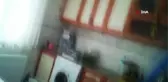 Evin içine giren baykuşu böyle kurtardı