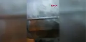 Çöp konteynerine atılan kedi, temizlik personelinin dikkati sayesinde kurtuldu