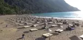 İztuzu sahilinde caretta caretta yuvası ve yavru çıkışında artış