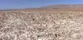 KAHRAMANMARAŞ - 
