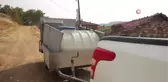 Büyükşehir Belediyesi'nden hayvan üreticilerine ilaçlama desteği