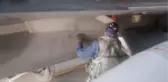 Hava Kuvvetlerine bağlı uçaklar eğitim uçuşu gerçekleştirdi