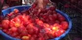 ÖNCE KOOPERATİF, SONRA ÜRETİM TESİSİ KURDULAR