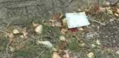 Tarihi Şahap Paşa Tabyası yıkılmaya yüz tuttu