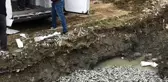 Türkeli'de yasal boyutun altındaki 5 ton balığa el konuldu