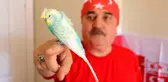 Bu kuş adeta insan gibi konuşuyor